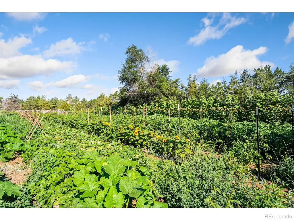12155 N County Road 15 Wellington CO 80549