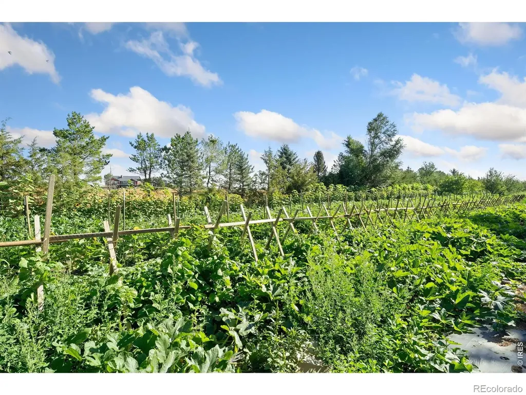 12155 N County Road 15 Wellington CO 80549