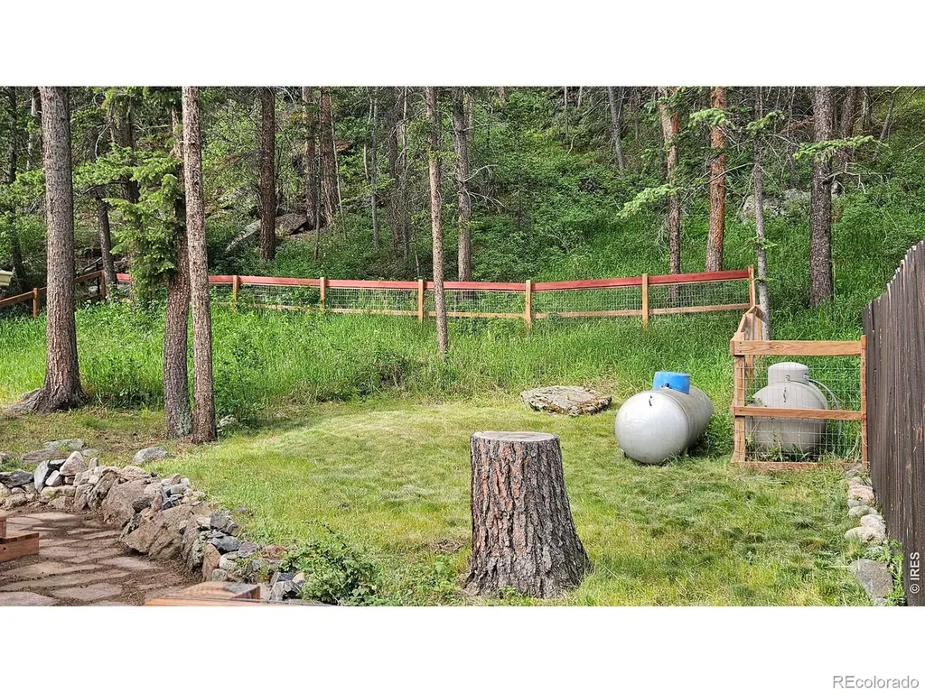 42 Big Pine Lane Drake CO 80515