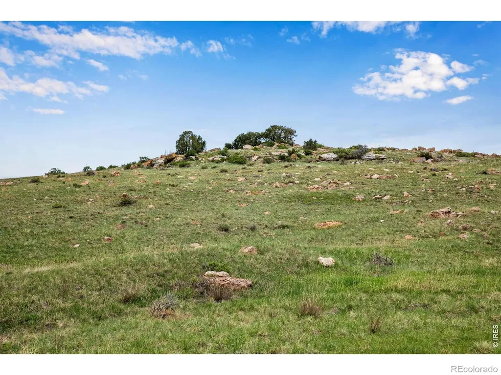 4753 Wild Horizon Drive Laporte CO 80535