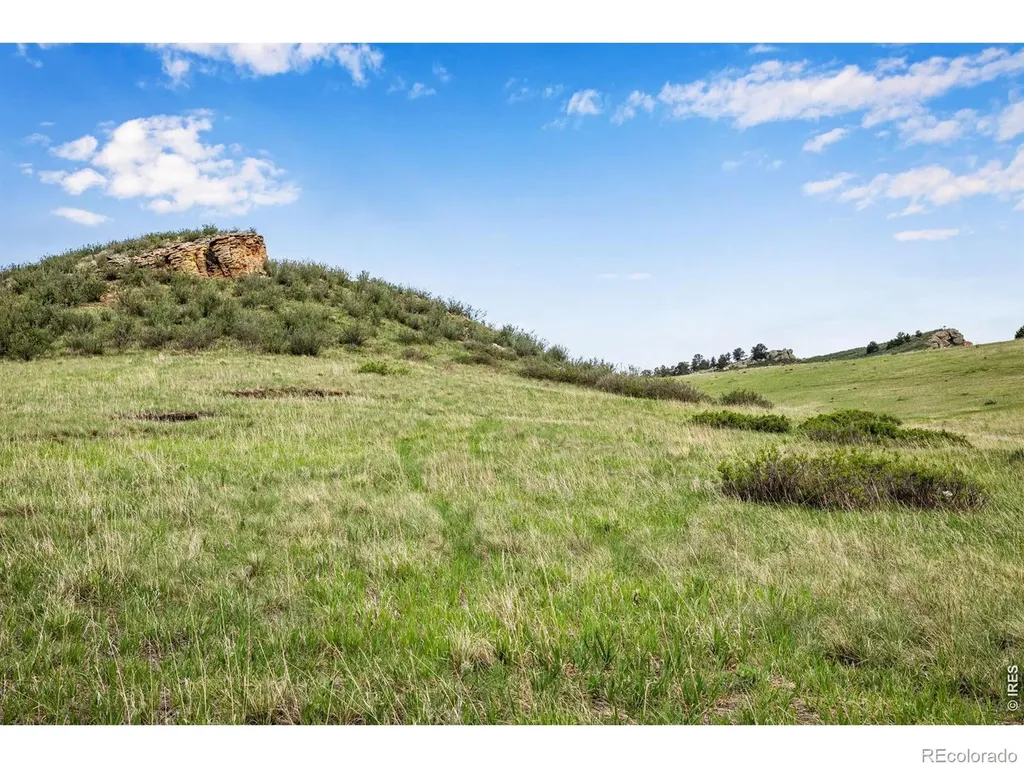 4753 Wild Horizon Drive Laporte CO 80535