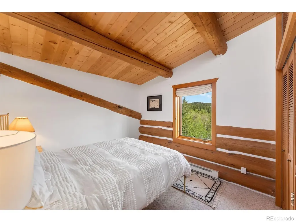 2200 Cr-103 Nederland CO 80466
