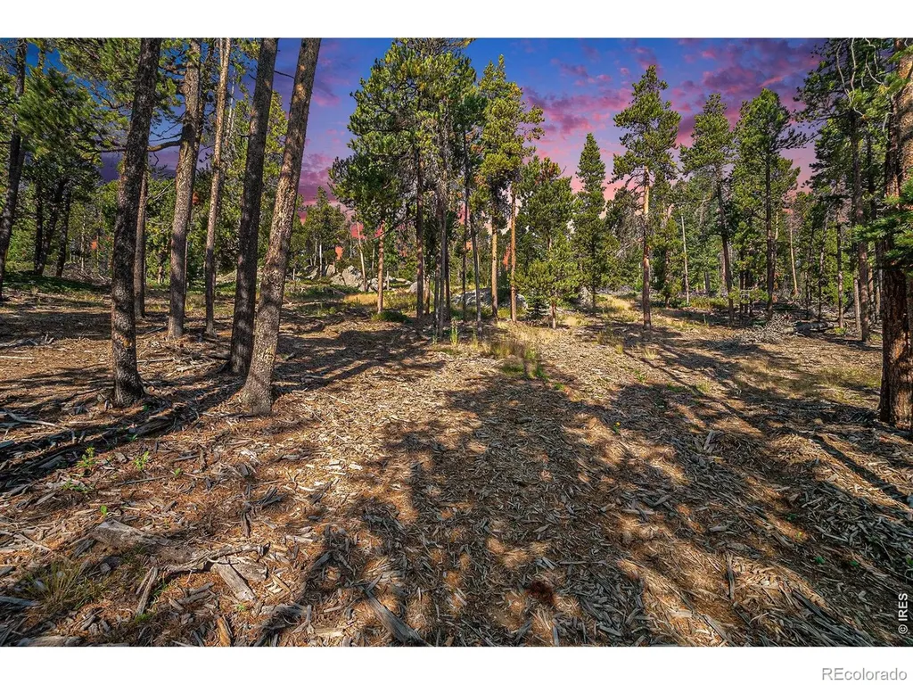 231 Granite Drive Drake CO 80515