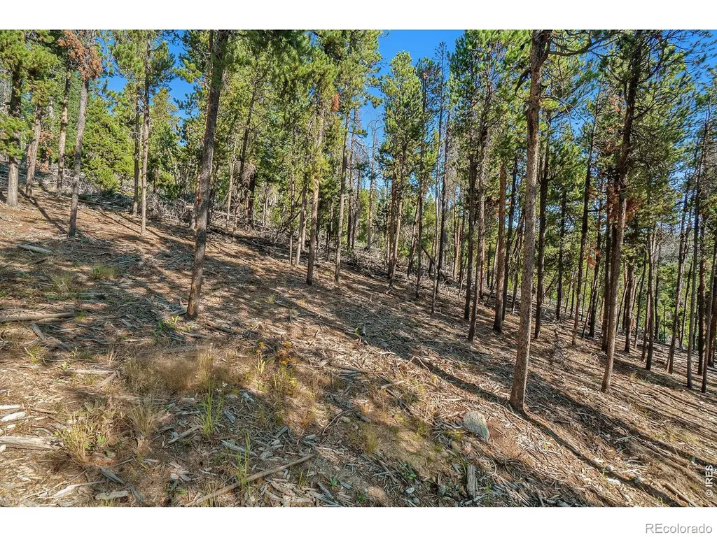 231 Granite Drive Drake CO 80515
