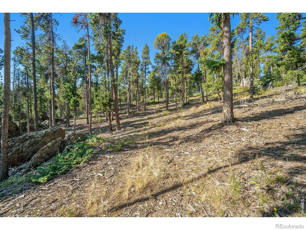 231 Granite Drive Drake CO 80515