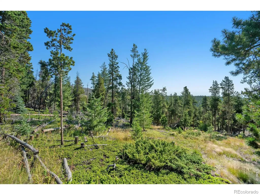 231 Granite Drive Drake CO 80515