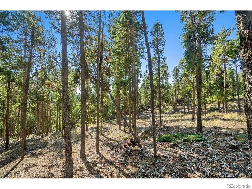 231 Granite Drive Drake CO 80515