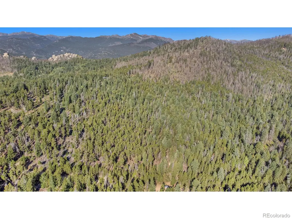 231 Granite Drive Drake CO 80515