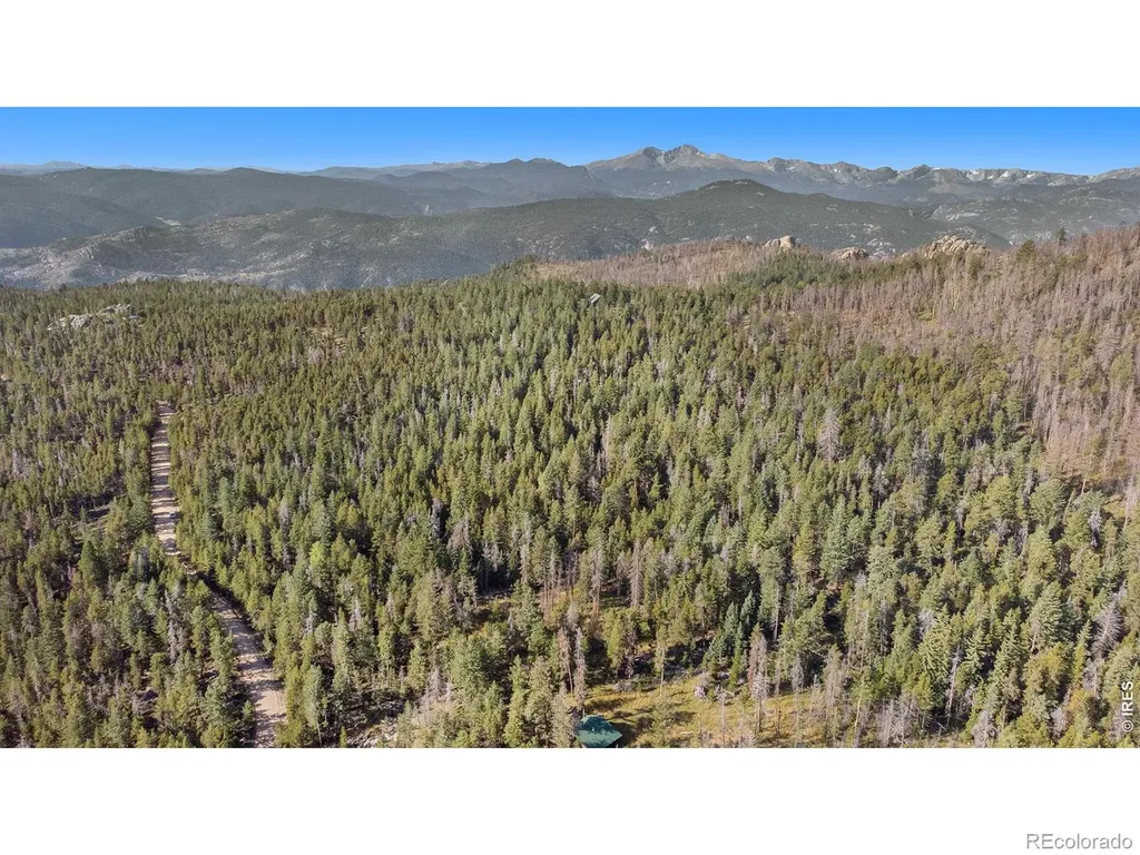 231 Granite Drive Drake CO 80515