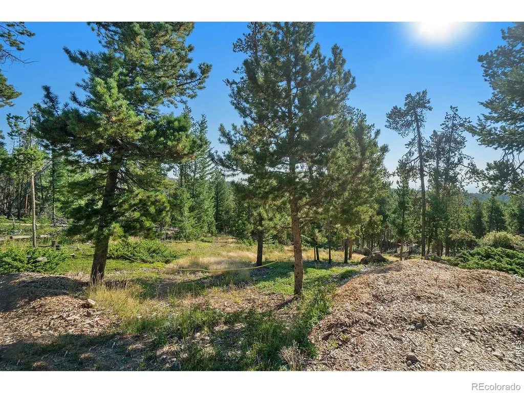 231 Granite Drive Drake CO 80515