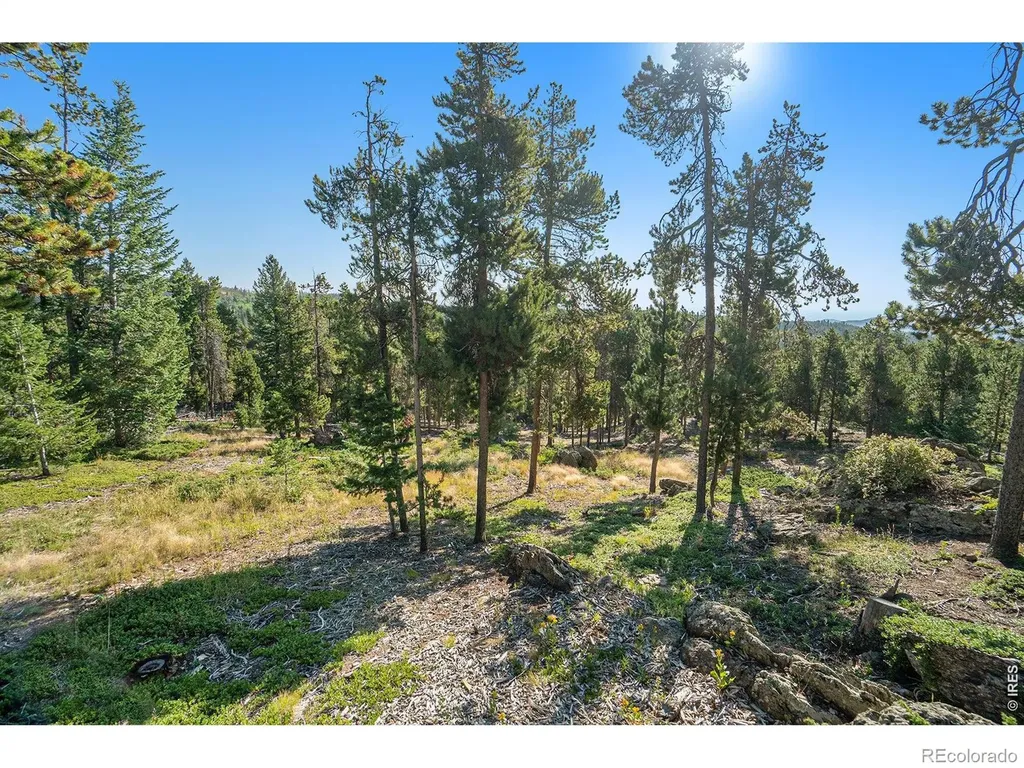 231 Granite Drive Drake CO 80515