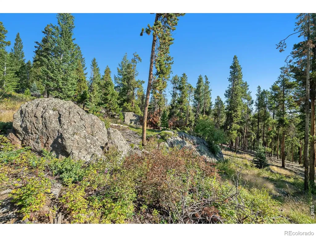 231 Granite Drive Drake CO 80515