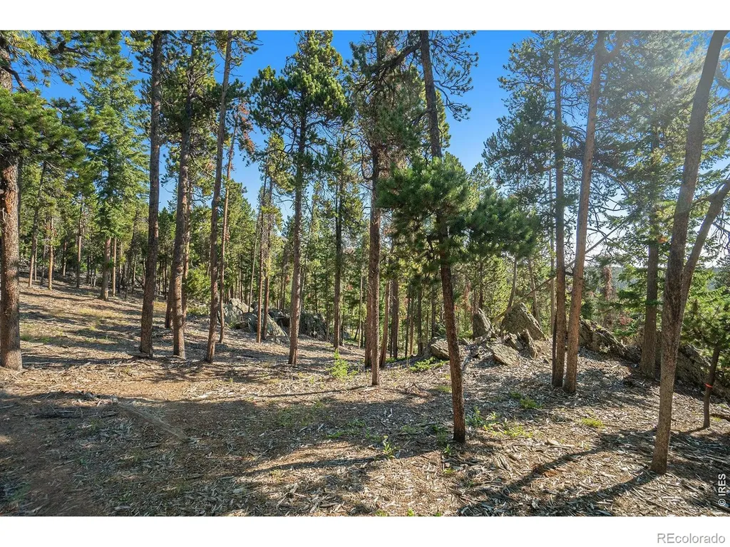 231 Granite Drive Drake CO 80515
