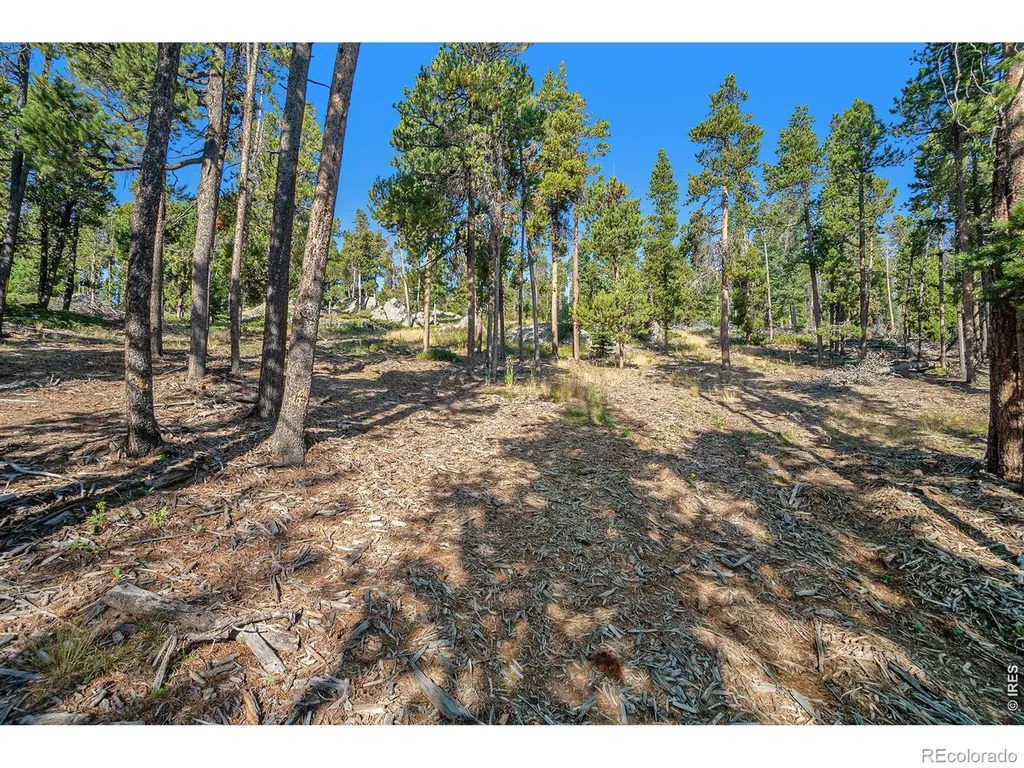 231 Granite Drive Drake CO 80515