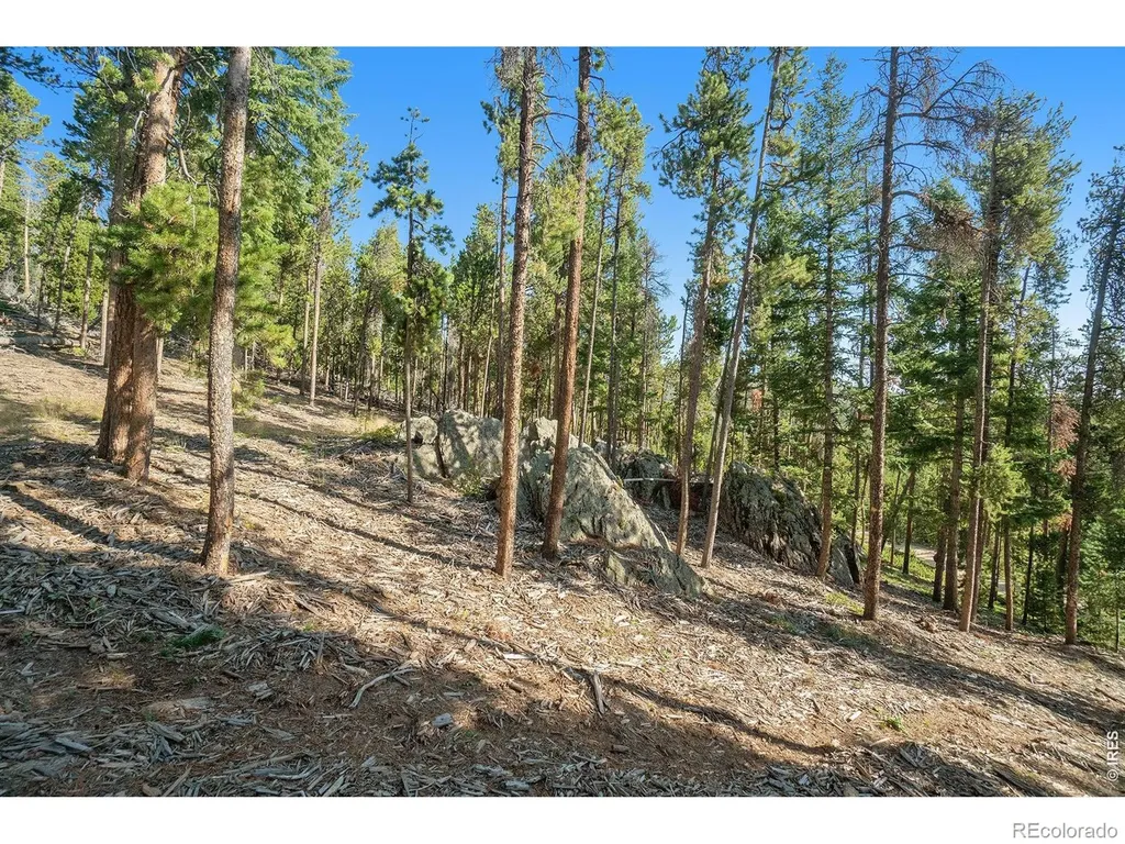 231 Granite Drive Drake CO 80515