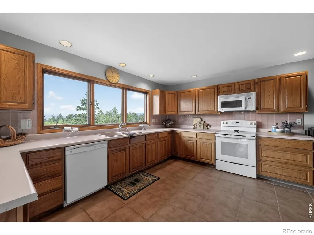 1502 Bald Mountain Drive Livermore CO 80536
