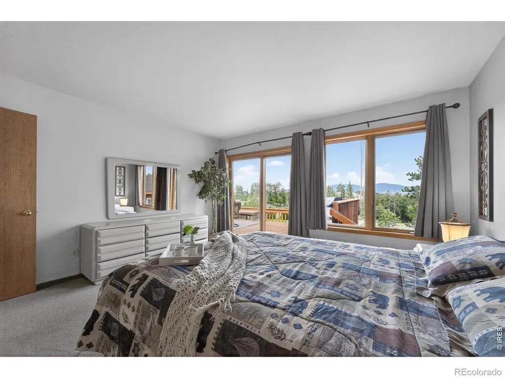 1502 Bald Mountain Drive Livermore CO 80536