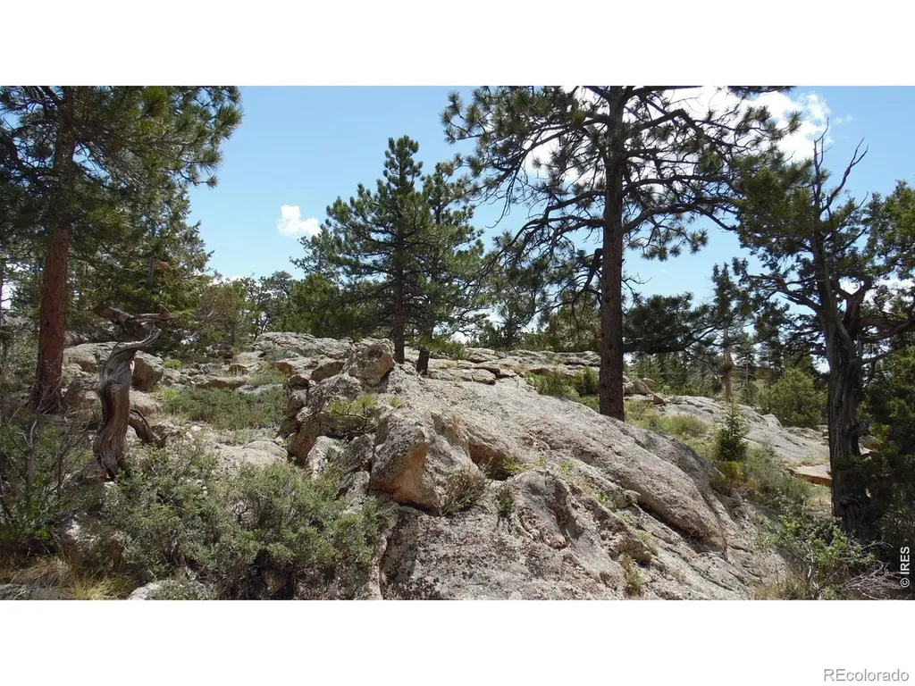 1502 Bald Mountain Drive Livermore CO 80536