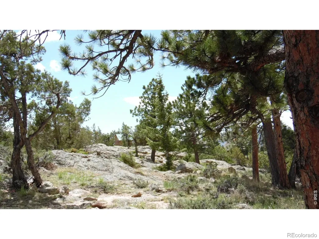 1502 Bald Mountain Drive Livermore CO 80536