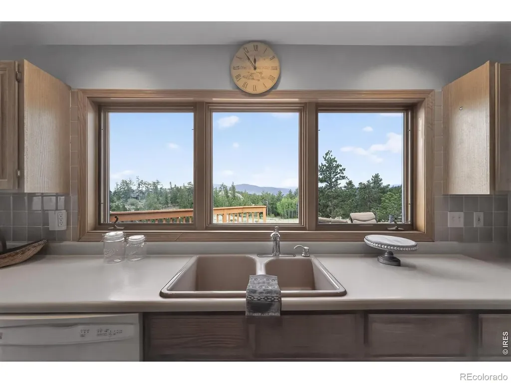 1502 Bald Mountain Drive Livermore CO 80536