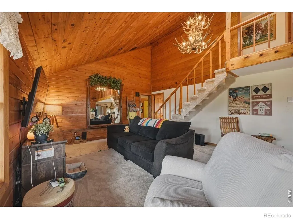 10 Manhead Mountain Drive Livermore CO 80536