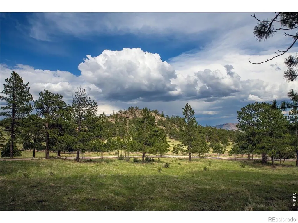 10 Manhead Mountain Drive Livermore CO 80536
