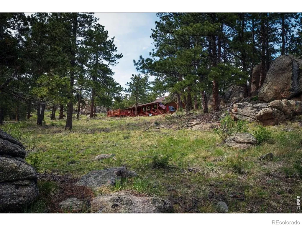 10 Manhead Mountain Drive Livermore CO 80536