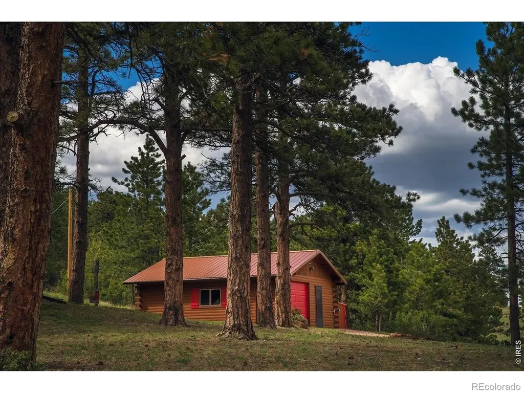 10 Manhead Mountain Drive Livermore CO 80536