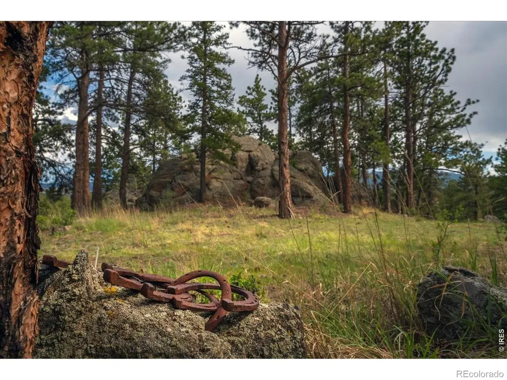 10 Manhead Mountain Drive Livermore CO 80536