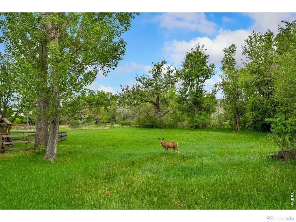 800 Grove Court Loveland CO 80537
