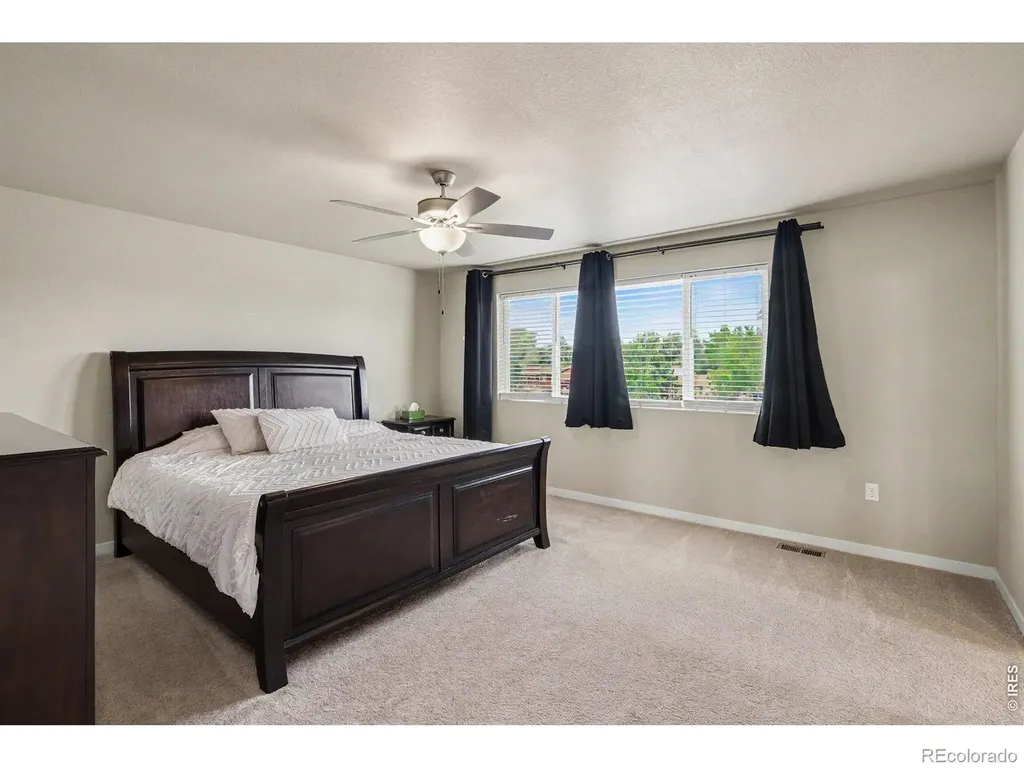 3774 Beech Tree Street Wellington CO 80549