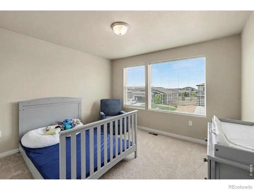 3774 Beech Tree Street Wellington CO 80549