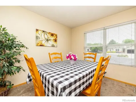 1110 Alpine Court Windsor CO 80550