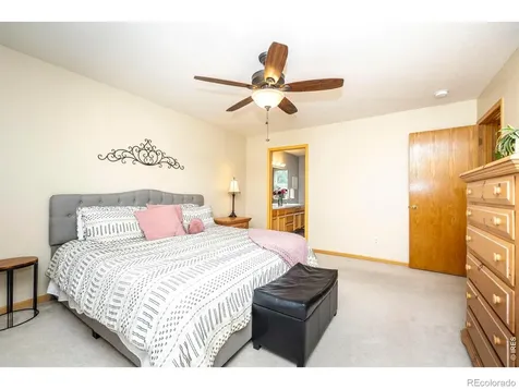 1110 Alpine Court Windsor CO 80550