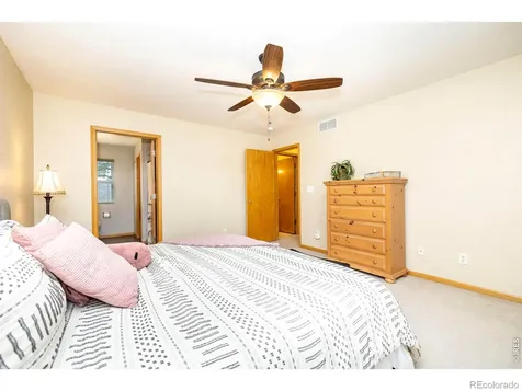 1110 Alpine Court Windsor CO 80550