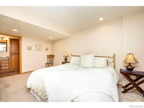1110 Alpine Court Windsor CO 80550