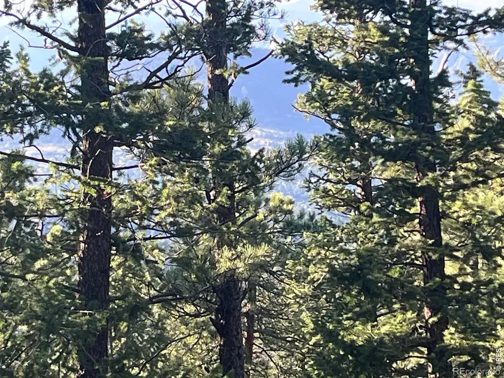 0 Moon Trailway Estes Park CO 80517