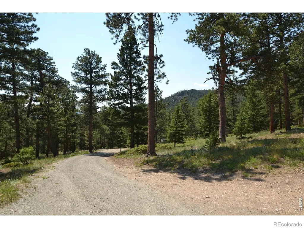 221 Rockledge Circle Lyons CO 80540