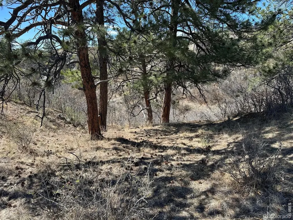 0 N Ridge Road Castle Rock CO 80104