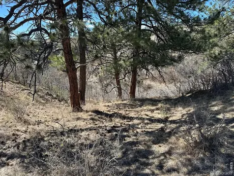 0 N Ridge Road Castle Rock CO 80104