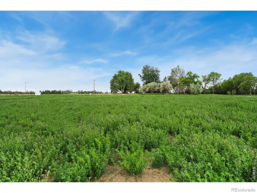 1534 Hauck Meadows Drive Longmont CO 80504