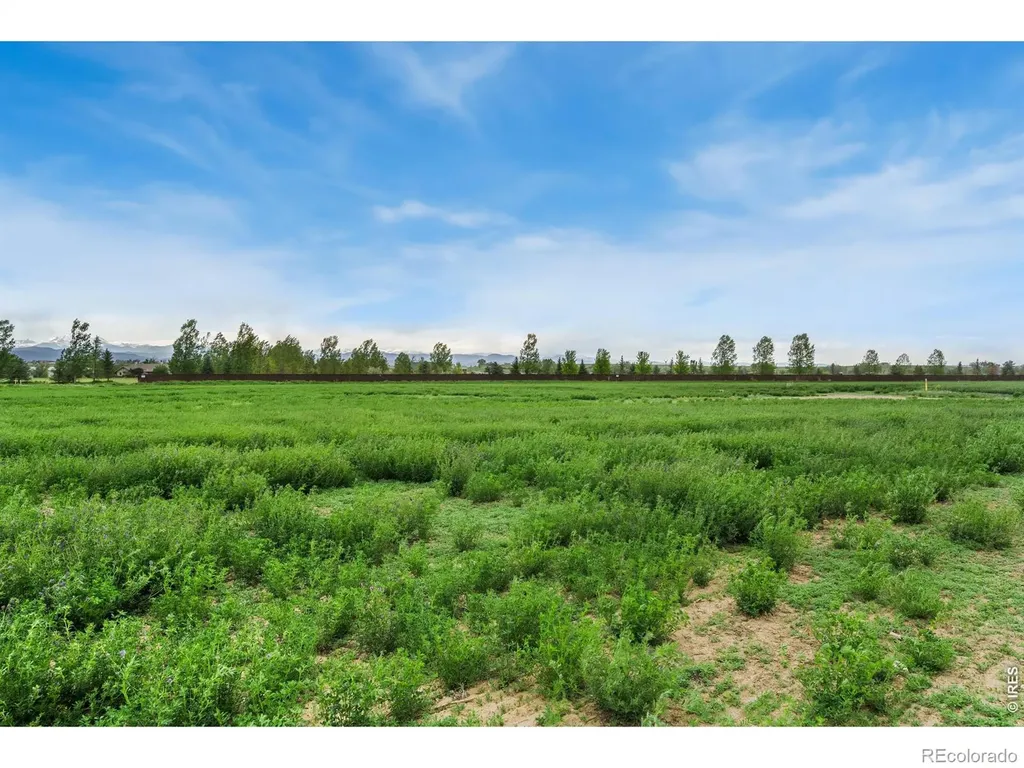 1534 Hauck Meadows Drive Longmont CO 80504