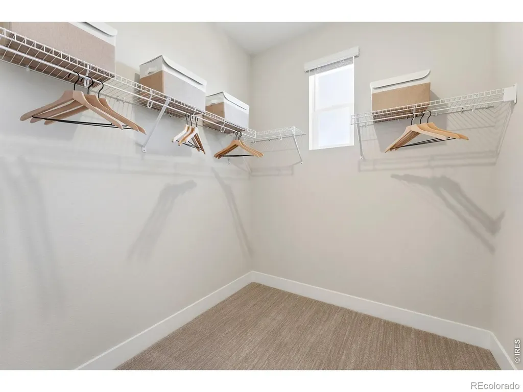 996 Nettle Lane Fort Collins CO 80524