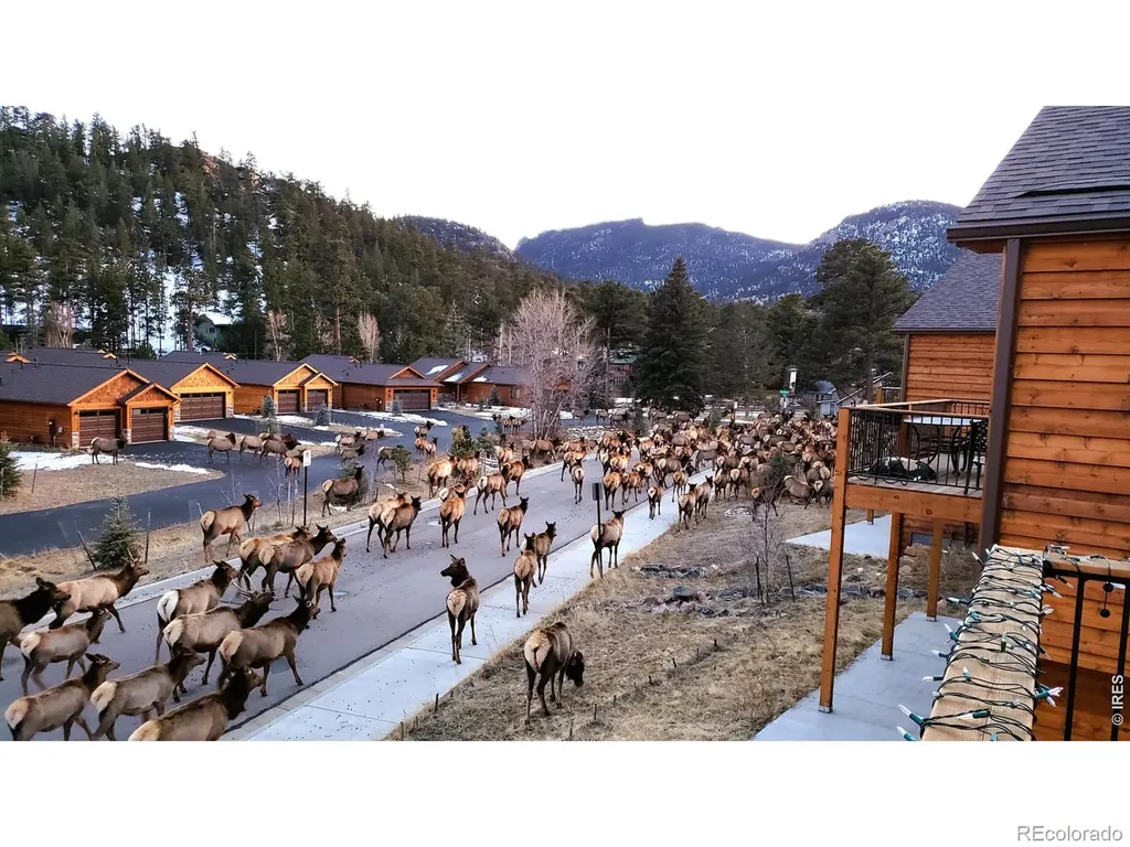 696 Moreau Lane Estes Park CO 80517