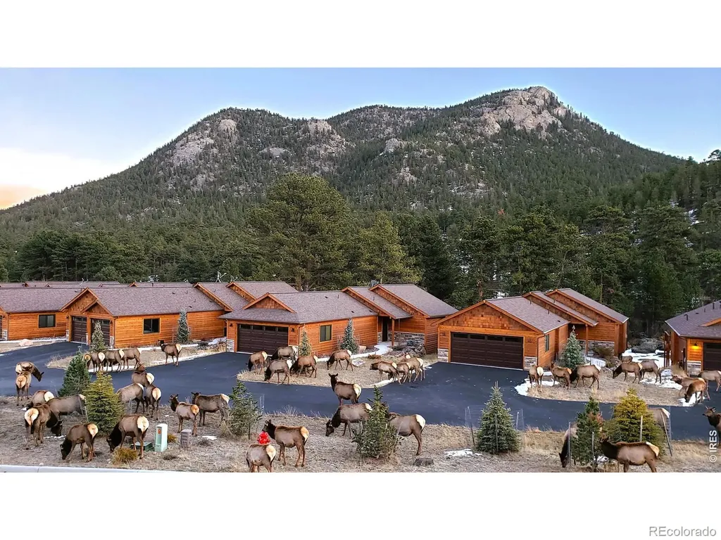 696 Moreau Lane Estes Park CO 80517