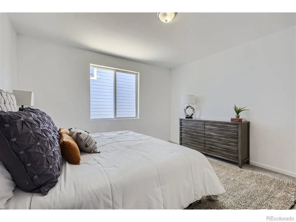 677 Noola Street Windsor CO 80550