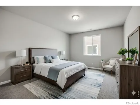 677 Noola Street Windsor CO 80550