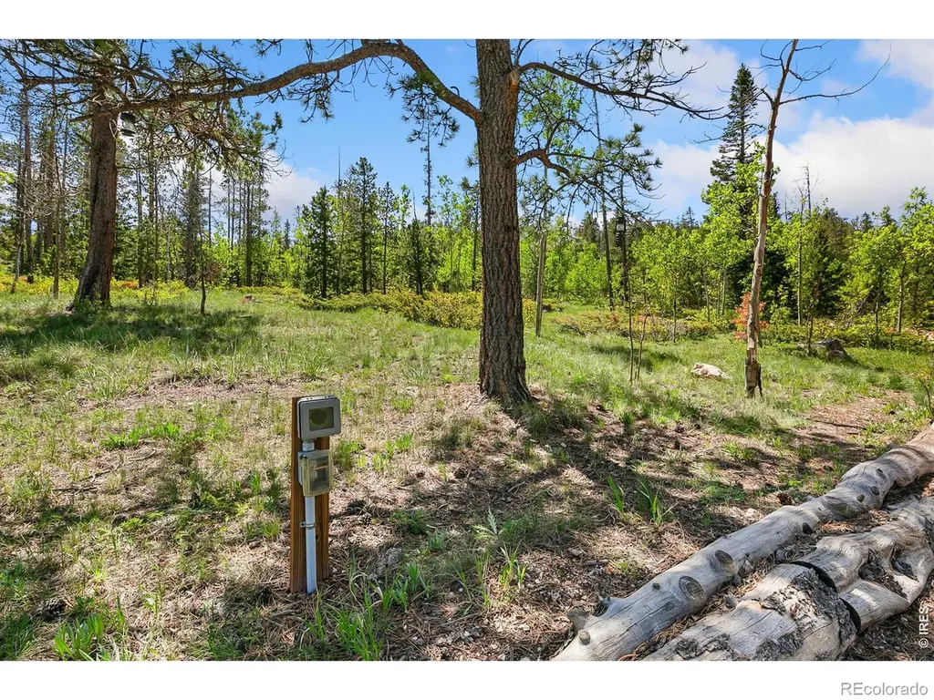 5481 N County Road 73c Red Feather Lakes CO 80545