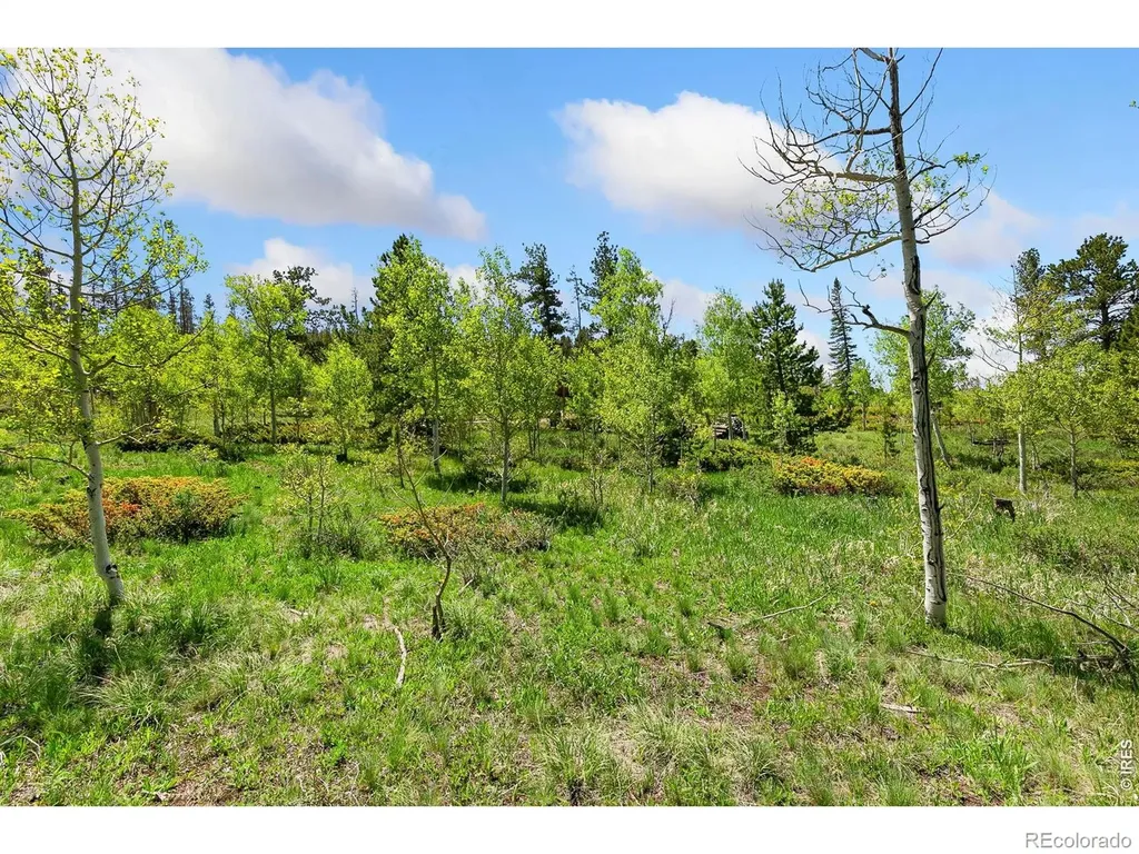 5481 N County Road 73c Red Feather Lakes CO 80545