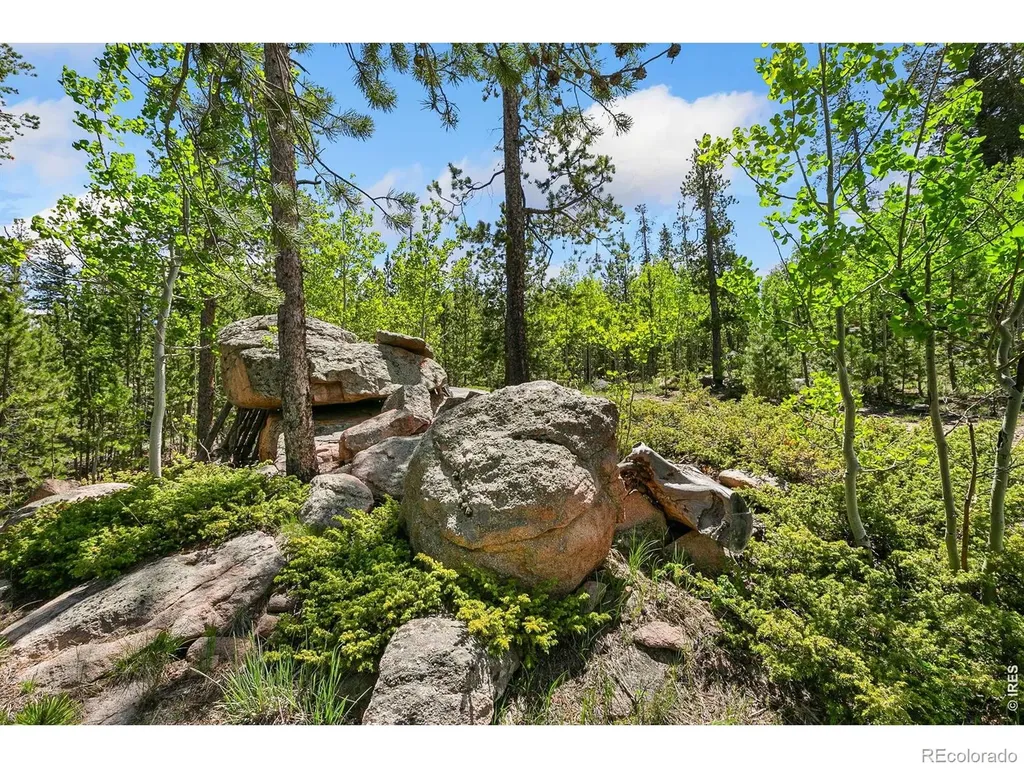 5481 N County Road 73c Red Feather Lakes CO 80545